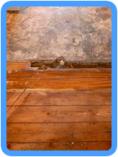 Water Damage Restoration Potomac, MD