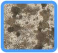 Potomac, MD Water Damage Restoration